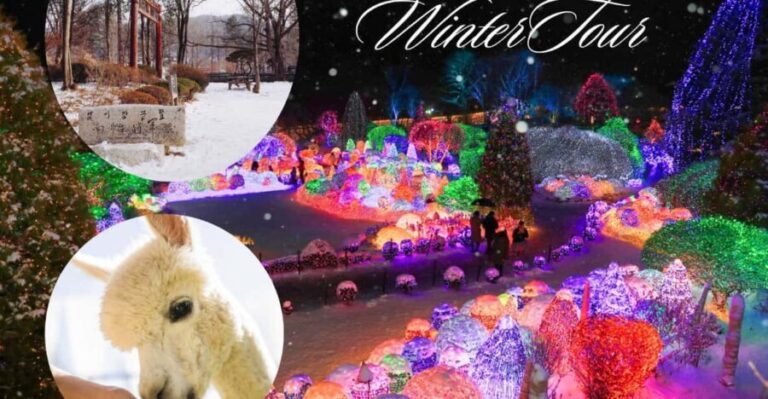 Seoul: Nami and K-Garden with Optional Alpaca Winter Tour - FAQ