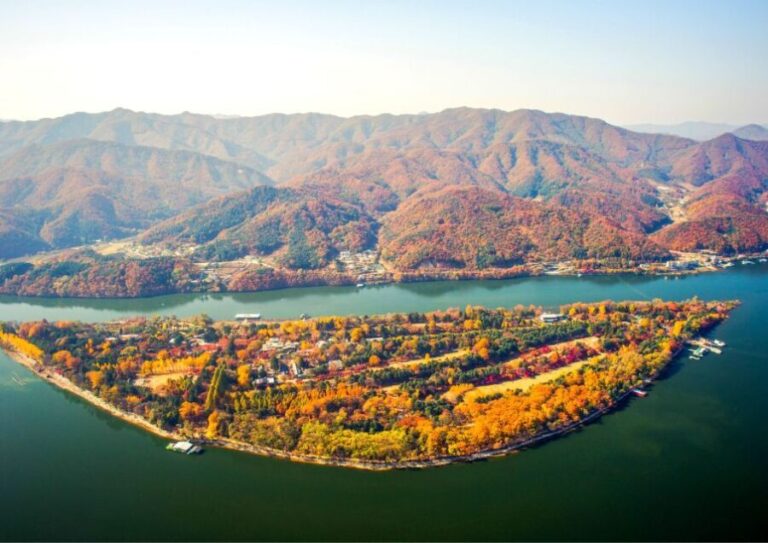Seoul: Nami and Petite France Tour with Optional K-Garden - Analyzing the Value: Is It Worth It?
