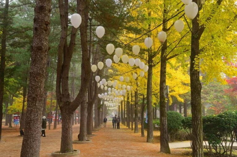 Seoul: Nami+Hanbok+Waterfall(+RailBike or Strawberry)Tour - Who Would Love This Tour?