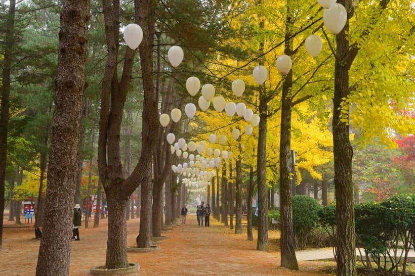 Seoul: Nami+Hanbok+Waterfall(+RailBike or Strawberry)Tour - Who Would Love This Tour?