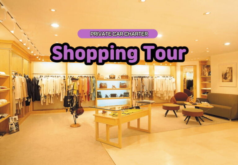 Seoul: Private Shopping Tour - Who This Tour Is Best For