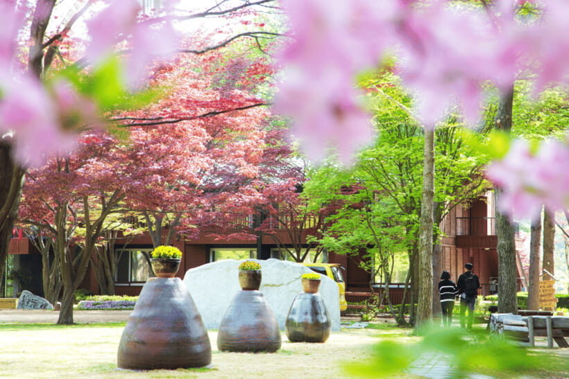 Seoul: Samaksan Cable Car & Nami with Alpaca World/Railbike - Authentic Perspectives & Real Experiences