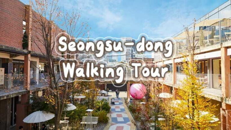 Seoul: Seongsu-dong K-Pop Culture Walking Tour - Practical Details and Value