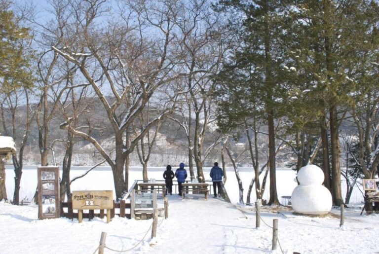 Seoul: Strawberry Picking, Winter Sled with Eobi Ice Valley - What Makes This Tour Stand Out?