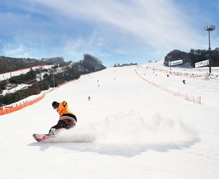 Seoul: Vivaldi Park Winter Ski with Eobi Ice Valley Day Tour - The Experience at Eobi Ice Valley