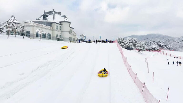 Seoul: Vivaldi Park Winter Ski with Nami Island Day Tour - Who Is This Tour Best For?