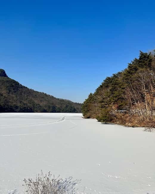 Seoul: Winter Day Tour in Pocheon with Strawberry Picking - Is It Worth the Price?