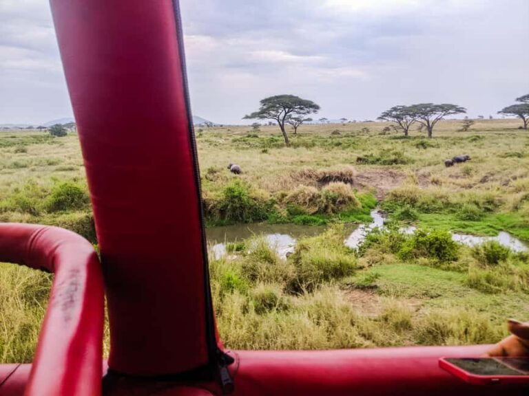 Serengeti Balloon Ride and Luxury Bush Breakfast - Comparing Similar Experiences