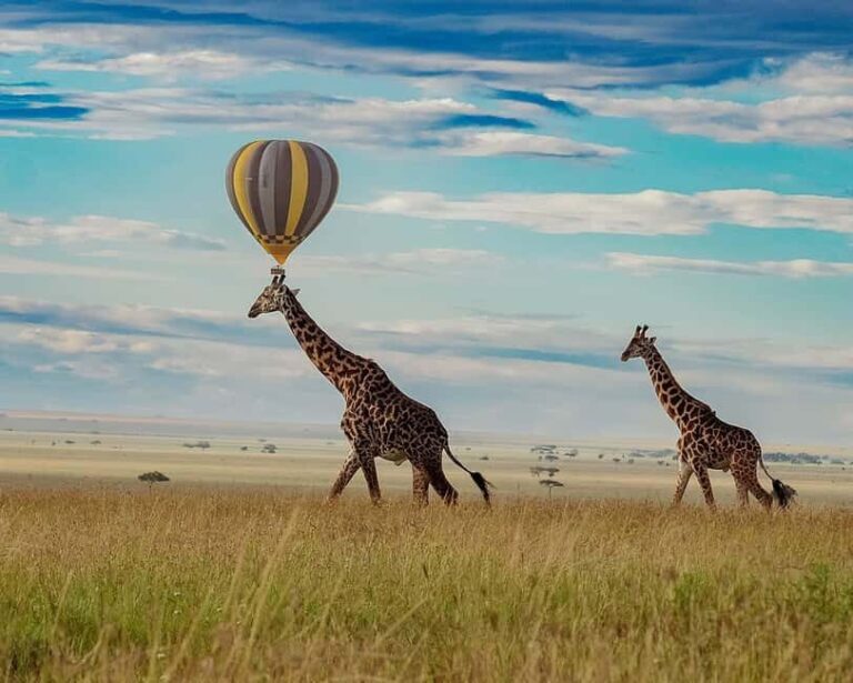 Serengeti: Balloon Safari and Bush Breakfast - FAQs
