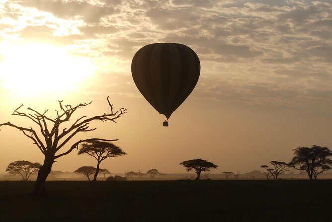 Serengeti Day Trip Tour from Mwanza - What to Expect: Wildlife, Landscapes, and Convenience