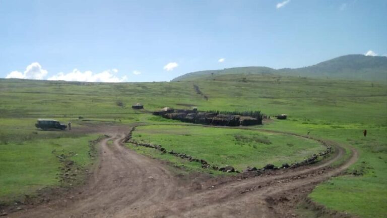 Serengeti Explorer: 6days private safari with game viewing. - Final Thoughts
