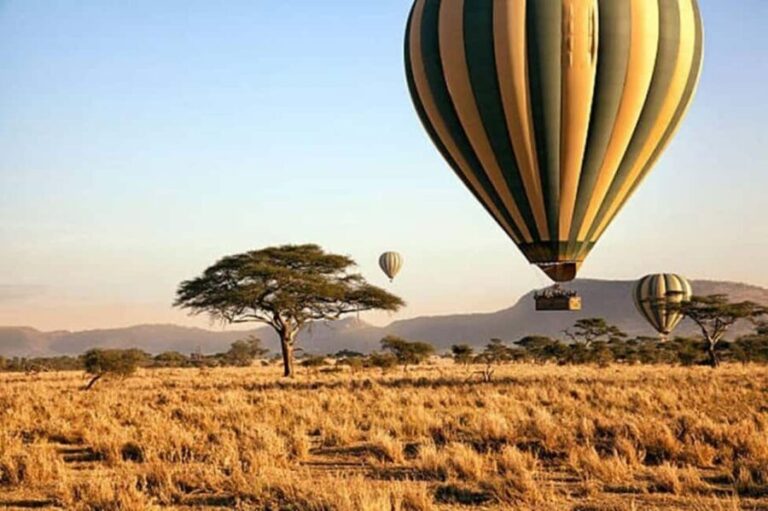 Serengeti: Hot Air Balloon Safari with Breakfast & Champagne - What Makes This Tour Stand Out?