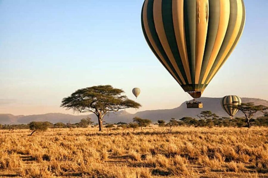 Serengeti: Hot Air Balloon Safari with Breakfast & Champagne - What Makes This Tour Stand Out?