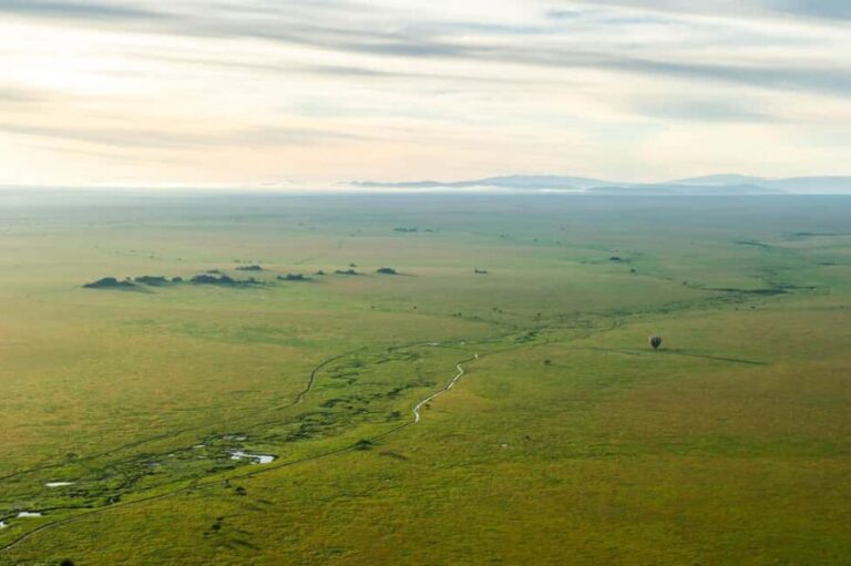 Serengeti National Park: Balloon Safari at Dawn - In The Sum Up
