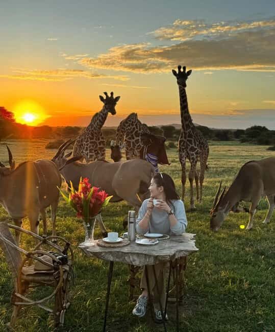 SERVAL WILDLIFE DAY - TOUR FROM ARUSHA, MOSHI OR ZANZIBAR. - The Itinerary Breakdown: What Makes This Tour Special