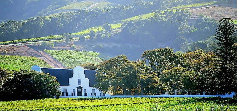 Shairing Grp Wine Tasting Tour: Stellenbosch and Franschhoek - Who This Tour Is Best For