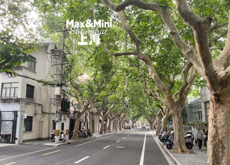 Shanghai: French Concession Stories, History, Culture, Bites - Is It Worth the Price?