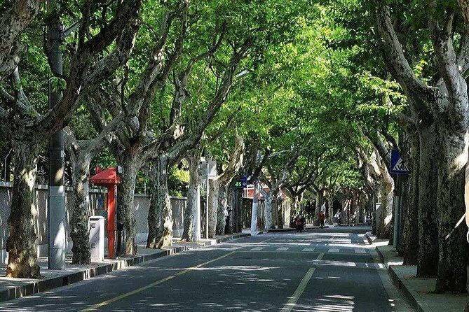 Shanghai Propaganda and History Walking Tour - Why This Tour Offers Great Value
