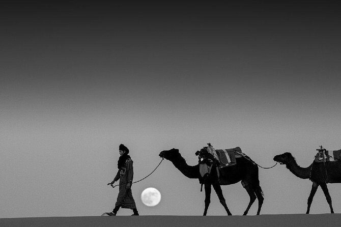 Shared 3 days tour From Marrakesh to Fes via Merzouga desert - What Travelers Say: Real Experiences and Honest Insights