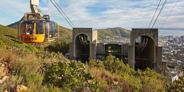 Shared and Scheduled Table Mountain Cable Car Tour - Who Will Love This Tour?