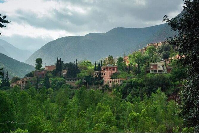 Shared Day Trip From Casablanca to Atlas Mountain - Real Travelers’ Perspectives