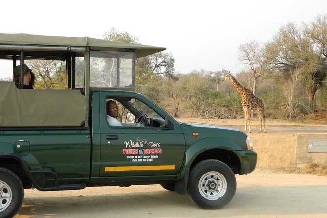 Shared Full Day Guided Safari Tour Visit to Kruger National Park - The Journey into Kruger Park: Vehicles and Guides