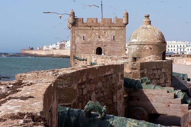 Shared group day trip from Marrakech to Essaouira mogador - Authentic Experiences and Traveler Insights