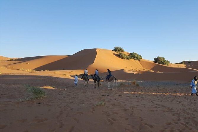 Shared Group Desert Tour Fez to Fez via Merzouga 2Days /1night - The Itinerary in Detail: What You Can Expect