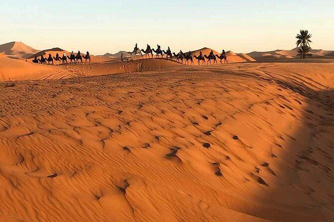 Shared group desert tour from Marrakech to Fes 3 Days - Authentic Experiences and Traveler Perspectives