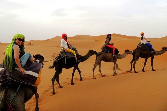 Shared group Fez to Fez Sahara tour 2Days/1Night - What Could Be Improved?