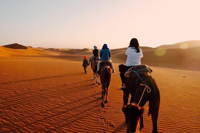 Shared Group Fez To Marrakech via Merzouga Desert Tour 2 Days - A Deep Dive into the Experience