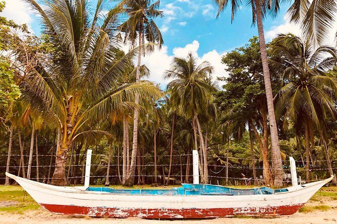 Shared Honda Bay Island Hopping Tour - What’s Included and What’s Not