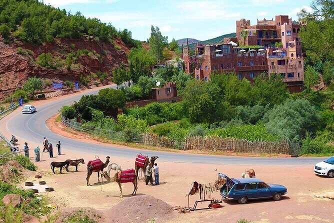 Shared Ourika Valley Tour with Lunch and Camel Riding - Frequently Asked Questions