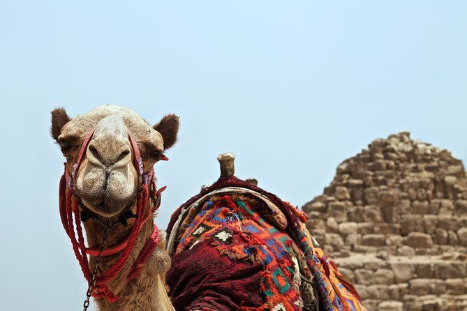 Shared Small group Day Trip to Agafay Desert & Camel Ride - Why This Tour Offers Great Value