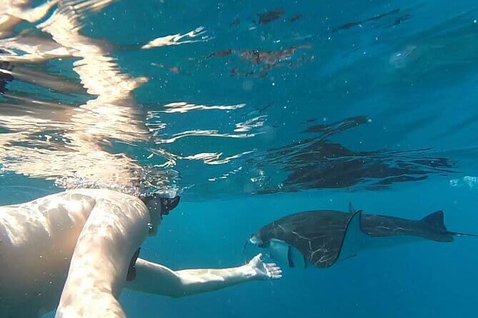 Shared Snorkeling 3-4 spot manta bay in Nusa Penida - Who Should Consider This Tour?