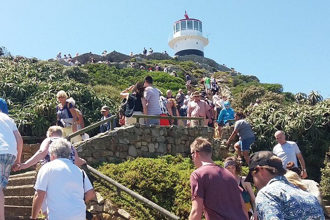 Shared Tour to Cape of Good Hope Penguins Chapman's Peak From Cape Town Full Day - Practical Details and Value