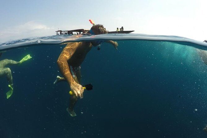 Sharing Snorkeling Trip Gili islands Depart Lombok/Gili Trawangan - The Sum Up