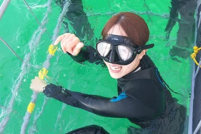 Shark Cage Diving - Who Should Consider This Tour?