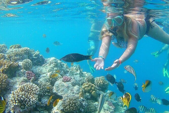 Sharm El Naga Full-Day Snorkeling Tour From Hurghada - What Travelers Are Saying