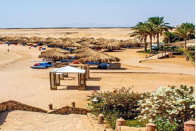 Sharm El Naga National Park water turtle house Full Day Snorkeling Trip-Hurghada - Overview of the Tour Experience