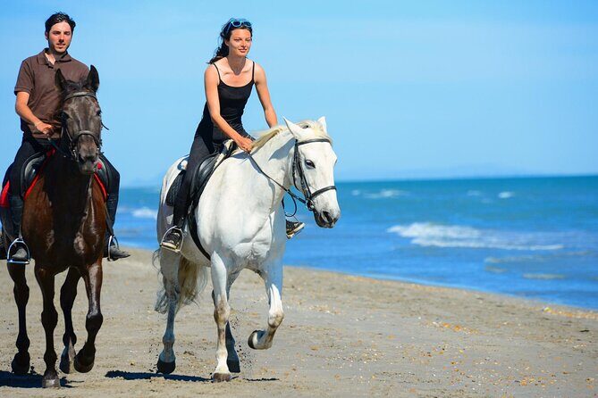 Sharm El Sheikh Horseback Riding with Pickup and Drop-off - The Sum Up