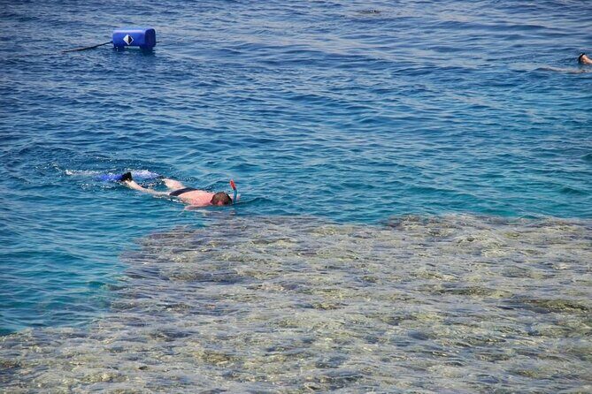 Sharm Ras Mohammed and White Island VIP Boat Sea Trip
