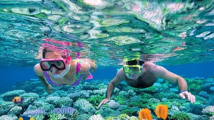 Sharm El Sheikh: Ras Mohammed Snorkeling Boat Tour - What to Expect on the Tour