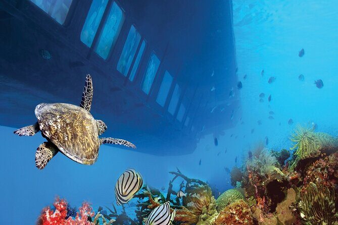 Sharm El-Sheikh: Royal Seascope Submarine cruise in with pickup - The Value and Practicalities