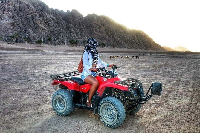 Sharm El Sheikh Super Safari 5*1 ATV Quad, Stargazing,Camel Ride,Dinner, Shows - Frequently Asked Questions