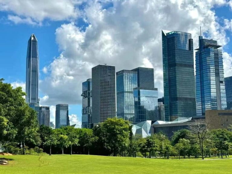 Shenzhen8h City Walk & Future Experience Highlights Trip - Practical Details and Logistics