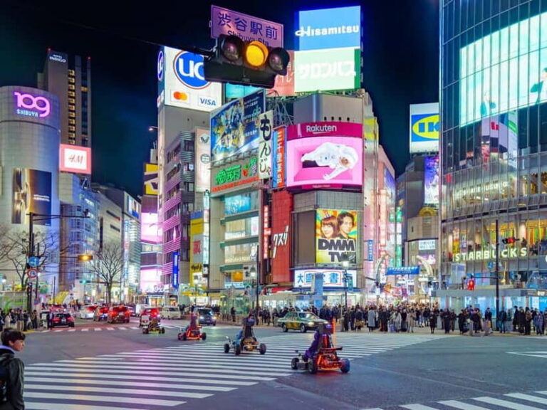 Shibuya Go Karting Tour with Funny Costume - Final Thoughts: Who Will Love This Tour?