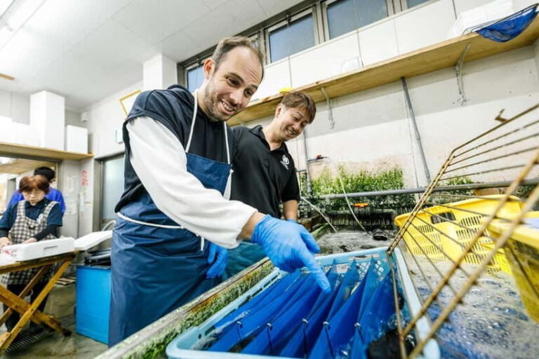 Shima: Premium Fish Shop Tour, Exclusive Backyard Experience - Who Will Love This Experience?