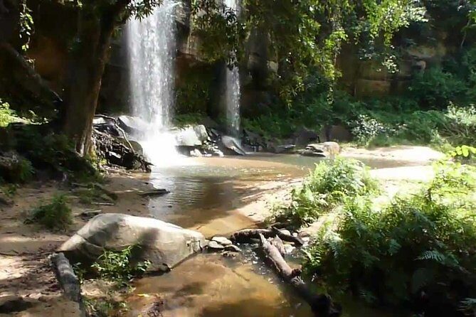 Shimba Hills Excursion - Who Is This Tour Best For?