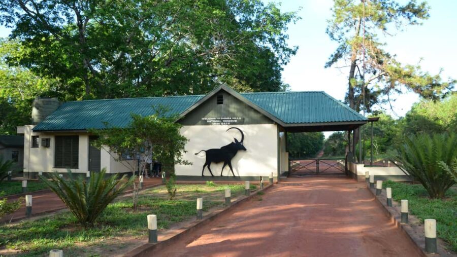 Shimba Hills National Reserve Day Trip from Diani - Who Should Consider This Tour?